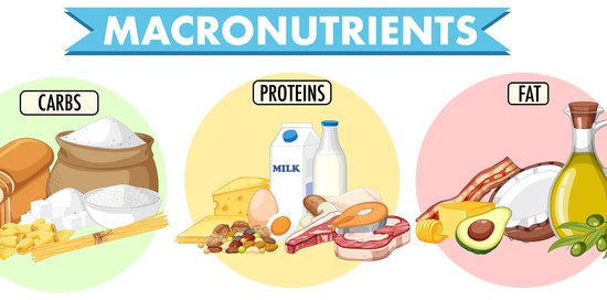 Τι είναι τα macros στη διατροφή και γιατί είναι σημαντικά;