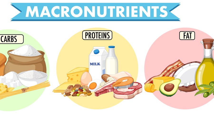 Τι είναι τα macros στη διατροφή και γιατί είναι σημαντικά;