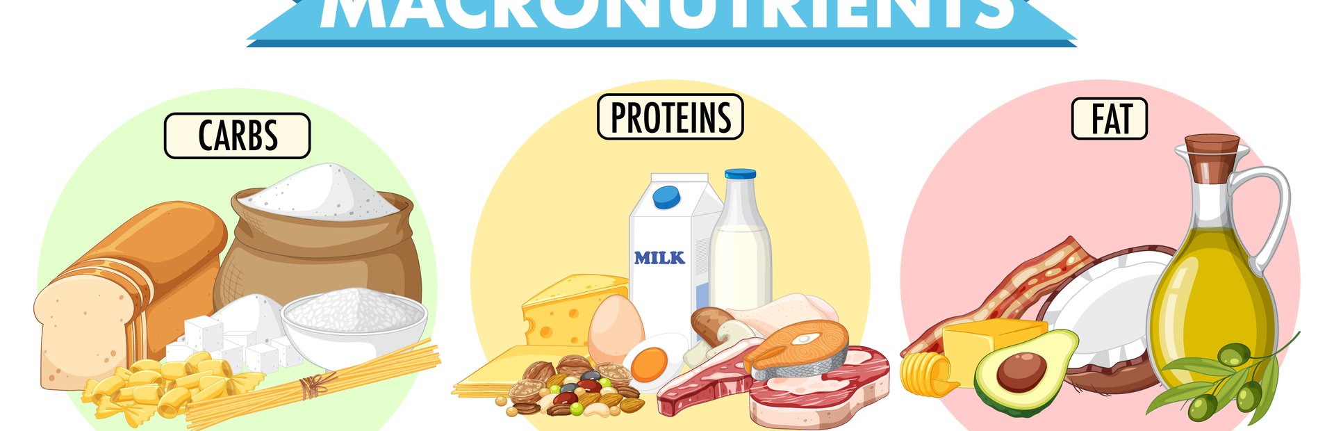 Τι είναι τα macros στη διατροφή και γιατί είναι σημαντικά;